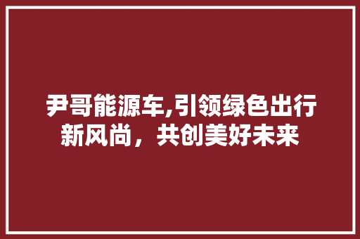 尹哥能源车,引领绿色出行新风尚，共创美好未来