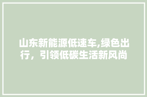 山东新能源低速车,绿色出行，引领低碳生活新风尚