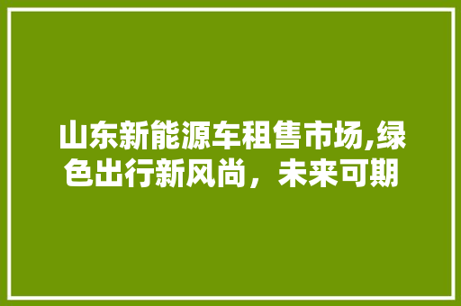 山东新能源车租售市场,绿色出行新风尚，未来可期