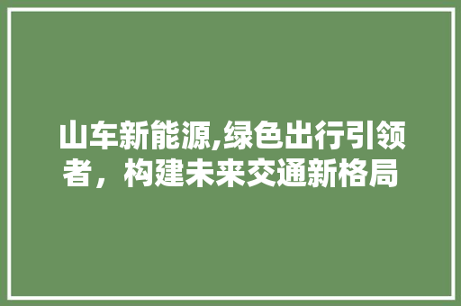 山车新能源,绿色出行引领者，构建未来交通新格局 新能源汽车