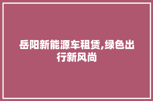 岳阳新能源车租赁,绿色出行新风尚