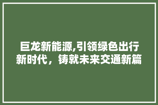 巨龙新能源,引领绿色出行新时代，铸就未来交通新篇章