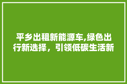 平乡出租新能源车,绿色出行新选择，引领低碳生活新风尚