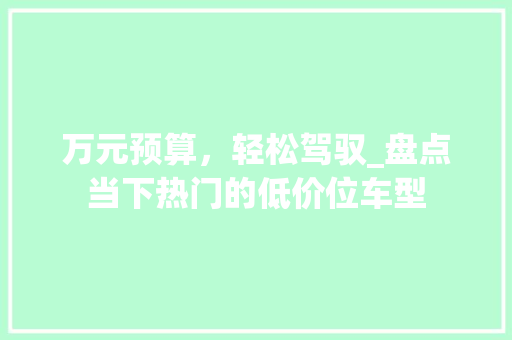 万元预算，轻松驾驭_盘点当下热门的低价位车型
