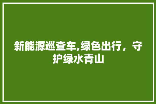 新能源巡查车,绿色出行，守护绿水青山