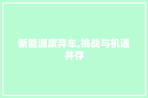新能源废弃车,挑战与机遇并存