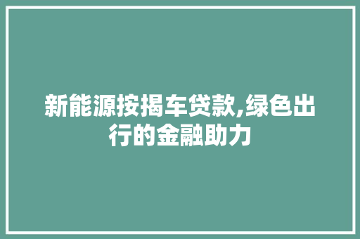 新能源按揭车贷款,绿色出行的金融助力