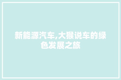 新能源汽车,大猴说车的绿色发展之旅 车型评测