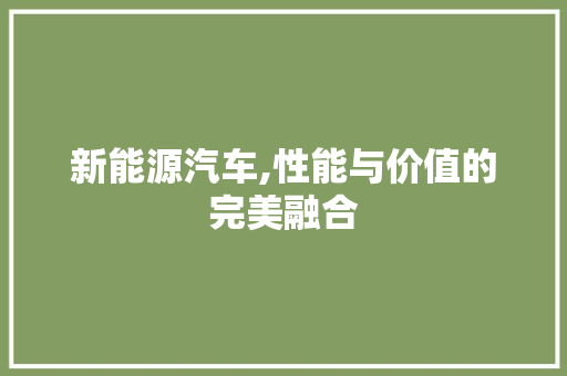 新能源汽车,性能与价值的完美融合