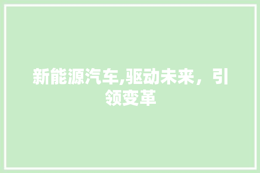 新能源汽车,驱动未来，引领变革