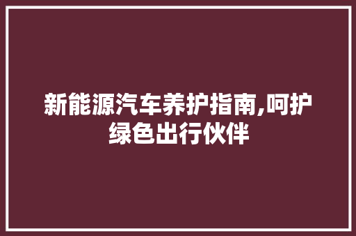 新能源汽车养护指南,呵护绿色出行伙伴