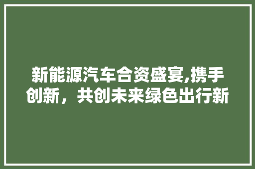 新能源汽车合资盛宴,携手创新，共创未来绿色出行新篇章