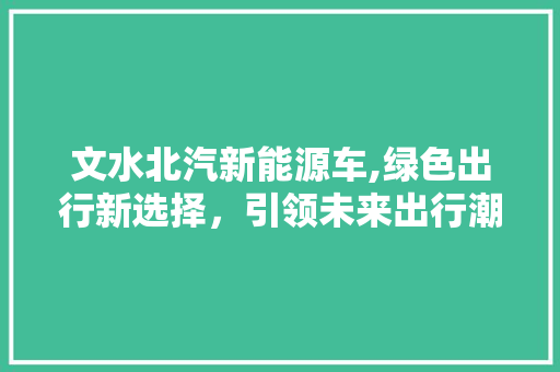 文水北汽新能源车,绿色出行新选择，引领未来出行潮流