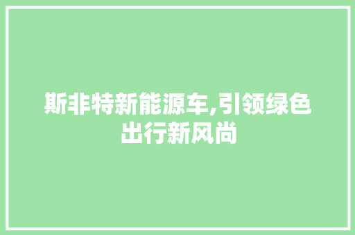 斯非特新能源车,引领绿色出行新风尚