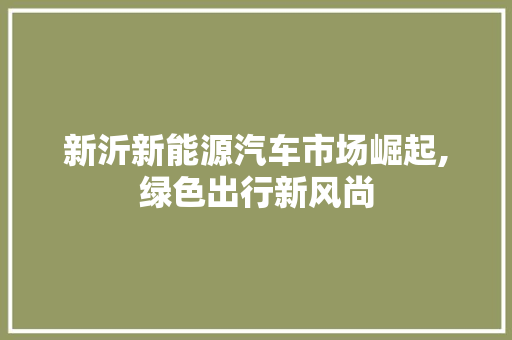 新沂新能源汽车市场崛起,绿色出行新风尚