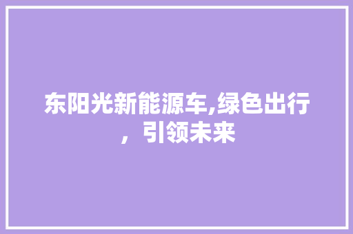 东阳光新能源车,绿色出行，引领未来