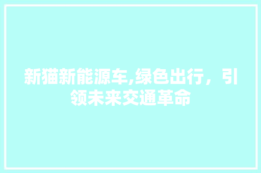 新猫新能源车,绿色出行，引领未来交通革命 自动驾驶