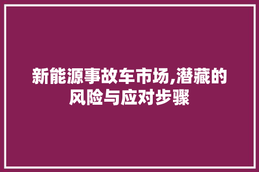 新能源事故车市场,潜藏的风险与应对步骤