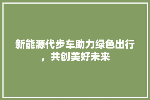 新能源代步车助力绿色出行，共创美好未来 车载导航