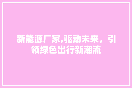 新能源厂家,驱动未来，引领绿色出行新潮流