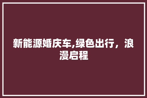 新能源婚庆车,绿色出行，浪漫启程
