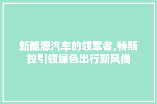新能源汽车的领军者,特斯拉引领绿色出行新风尚