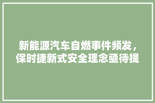新能源汽车自燃事件频发，保时捷新式安全理念亟待提升
