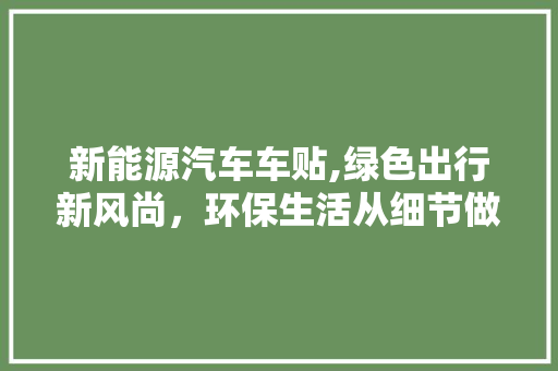 新能源汽车车贴,绿色出行新风尚，环保生活从细节做起