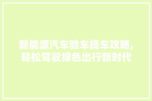 新能源汽车验车提车攻略,轻松驾驭绿色出行新时代