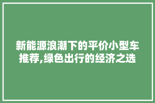 新能源浪潮下的平价小型车推荐,绿色出行的经济之选