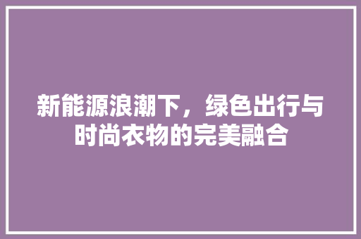 新能源浪潮下，绿色出行与时尚衣物的完美融合