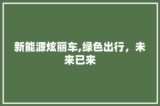 新能源炫丽车,绿色出行，未来已来