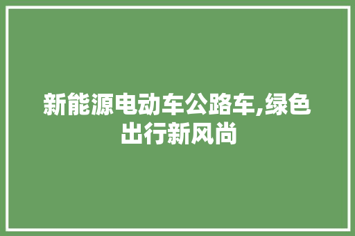 新能源电动车公路车,绿色出行新风尚