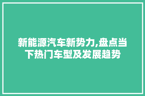 新能源汽车新势力,盘点当下热门车型及发展趋势 车型评测