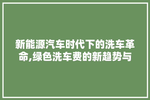 新能源汽车时代下的洗车革命,绿色洗车费的新趋势与市场前景