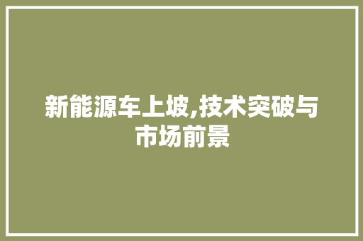 新能源车上坡,技术突破与市场前景