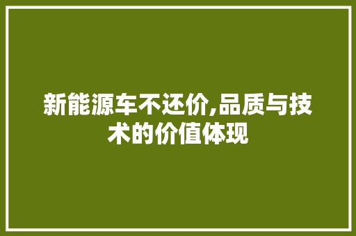 新能源车不还价,品质与技术的价值体现 汽车保养