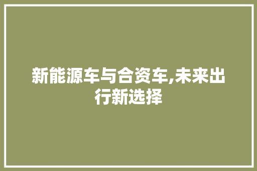 新能源车与合资车,未来出行新选择 车载导航