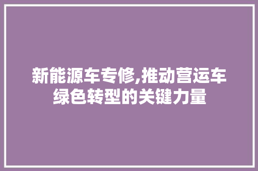 新能源车专修,推动营运车绿色转型的关键力量
