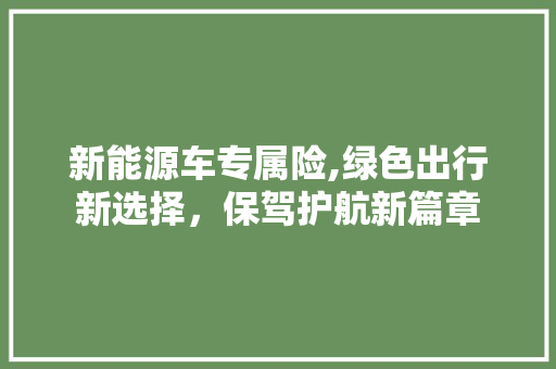新能源车专属险,绿色出行新选择，保驾护航新篇章