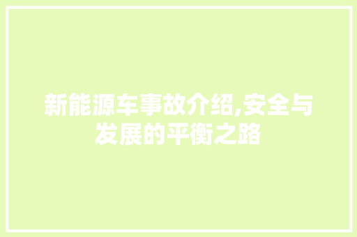 新能源车事故介绍,安全与发展的平衡之路