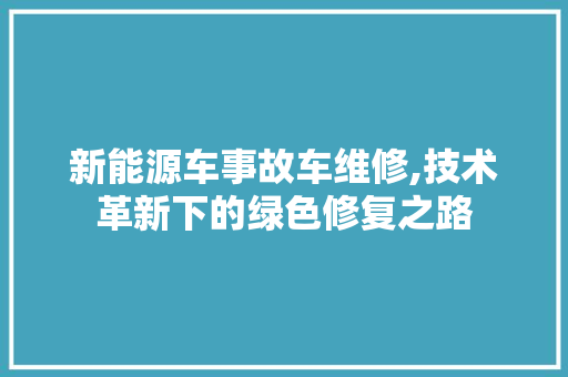 新能源车事故车维修,技术革新下的绿色修复之路 新车资讯