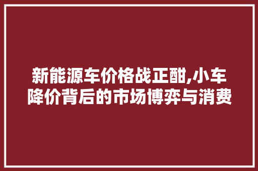 新能源车价格战正酣,小车降价背后的市场博弈与消费者福音