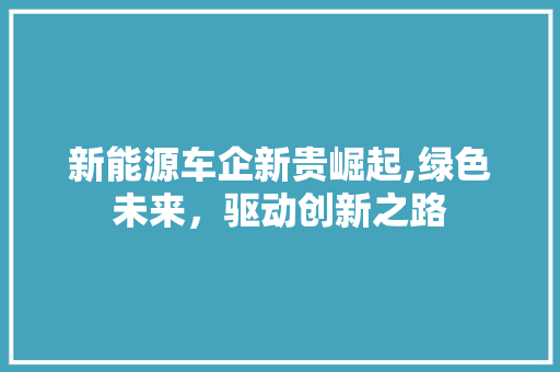 新能源车企新贵崛起,绿色未来，驱动创新之路