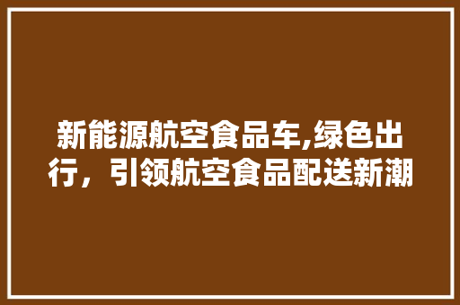 新能源航空食品车,绿色出行，引领航空食品配送新潮流 汽车配件