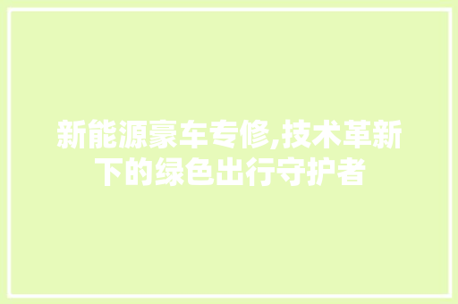 新能源豪车专修,技术革新下的绿色出行守护者