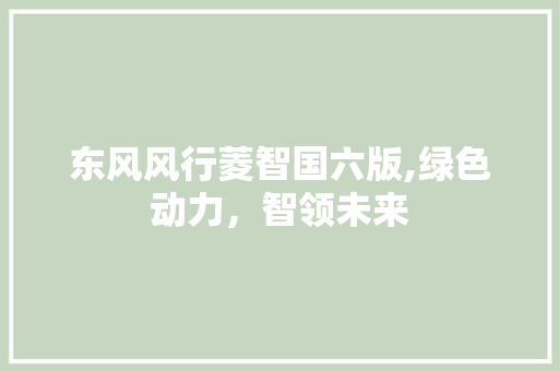东风风行菱智国六版,绿色动力，智领未来