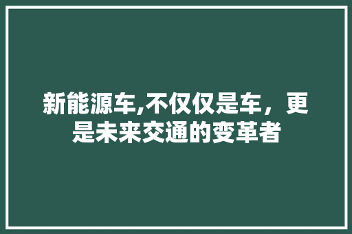 新能源车,不仅仅是车，更是未来交通的变革者