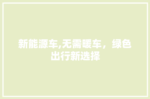 新能源车,无需暖车，绿色出行新选择