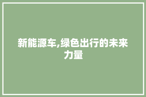 新能源车,绿色出行的未来力量